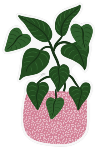 Green Pothos Plant Sticker