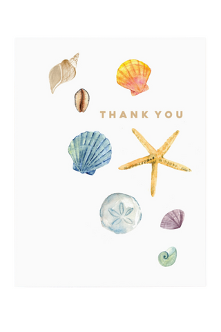 Shells Thank You Card