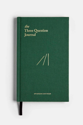 The Three Question Journal