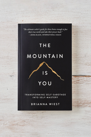 The Mountain Is You By Brianna Wiest