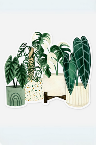 Rare Plants Clear Sticker