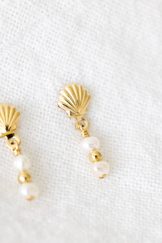 Pearly Shell Studs