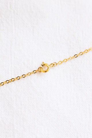 Sunrise Shell Lariat Necklace