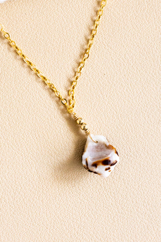 Hebrew Cone Shell Fragment & Bead Necklace