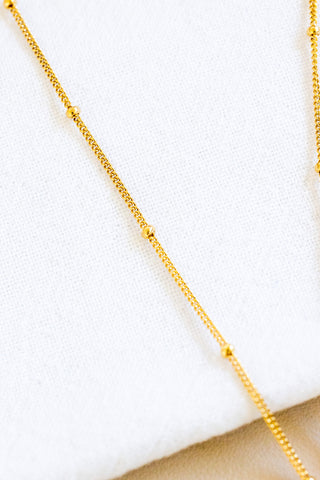 Multicolor Sunrise Shell Anela Necklace