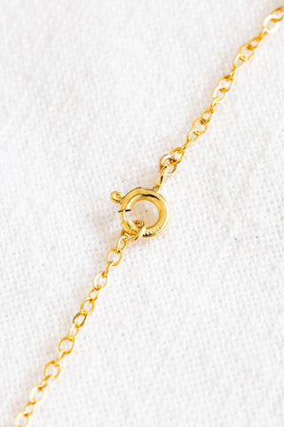 Double Stacked Pearls & Drupe Shell Lariat Necklace