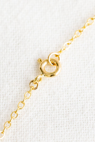 Round Freshwater Pearl & Multi-Color Sunrise Shell Necklace