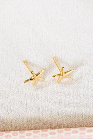 Starfish Studs