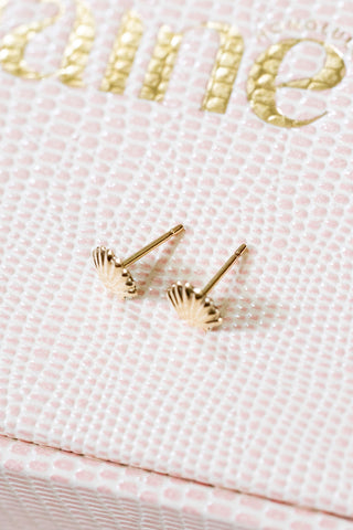 Seashore Studs