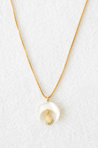 Mini Shell Crescent Box Necklace
