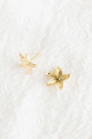 Curvy Starfish Studs